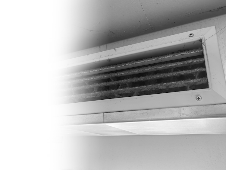 Projektplanung Lüftungsreinigung